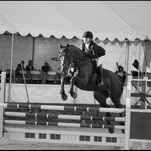 Meet your Posher, Maddie